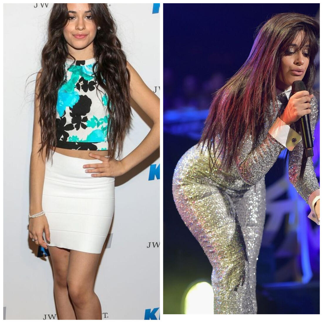 All posts from Your Friendly Forum Lurker in Camila Cabello Curvage
