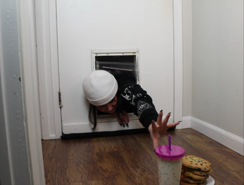 Fat Girl Stuck In A Doggy Door Cookie Quest Gone Wrong Video Clips