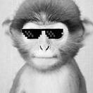 TheMonkey