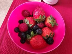 Post-breakfast bowl of fruit