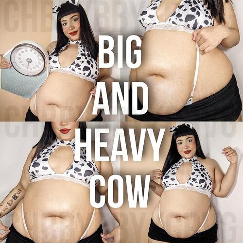 your big and heavy cow 🐄 (weight update, bloated belly play, fat chat and more)