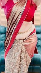 Designer Saree, Sleeveless Blouse and Hip Chain