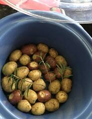 potatoes