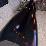 Shiny